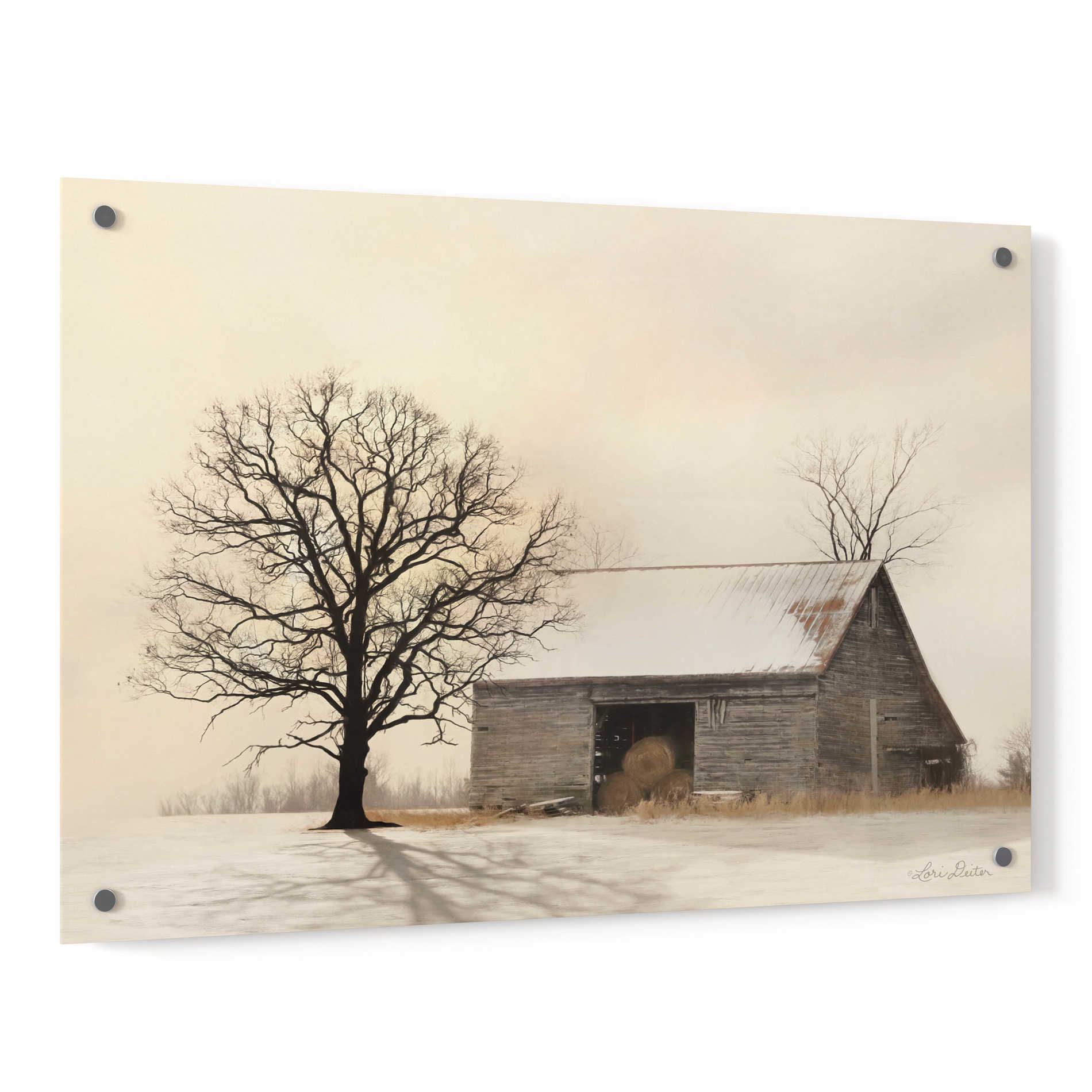 Epic Art 'Winter Shadows' by Lori Deiter, Acrylic Glass Wall Art,36x24