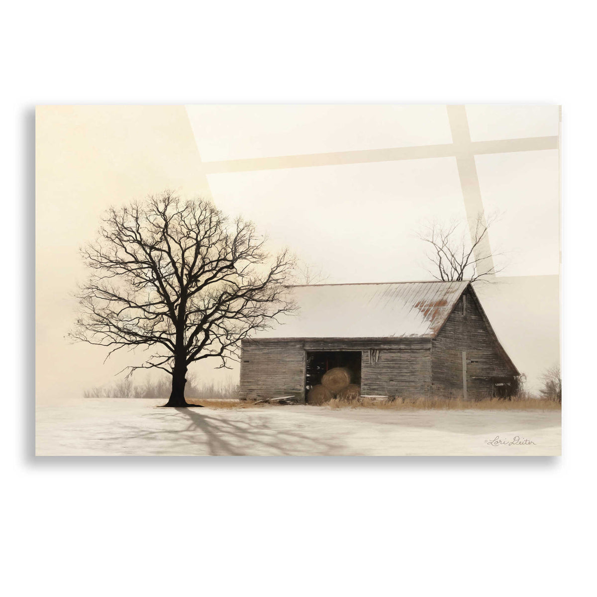 Epic Art 'Winter Shadows' by Lori Deiter, Acrylic Glass Wall Art