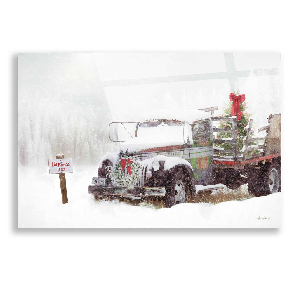 Epic Art 'Wyoming Tree Farm' by Lori Deiter, Acrylic Glass Wall Art