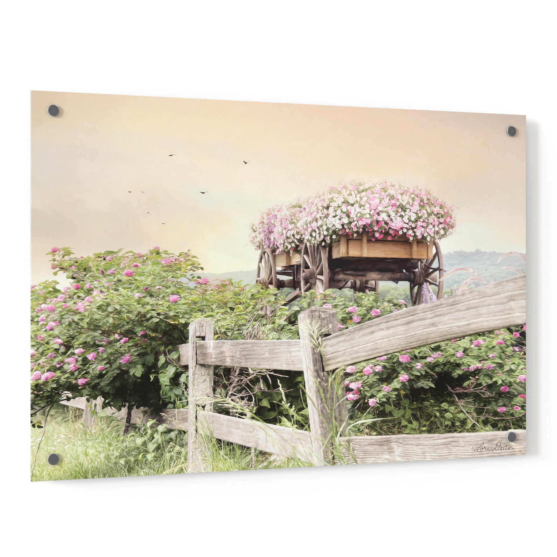 Epic Art 'Flower Wagon' by Lori Deiter, Acrylic Glass Wall Art,36x24