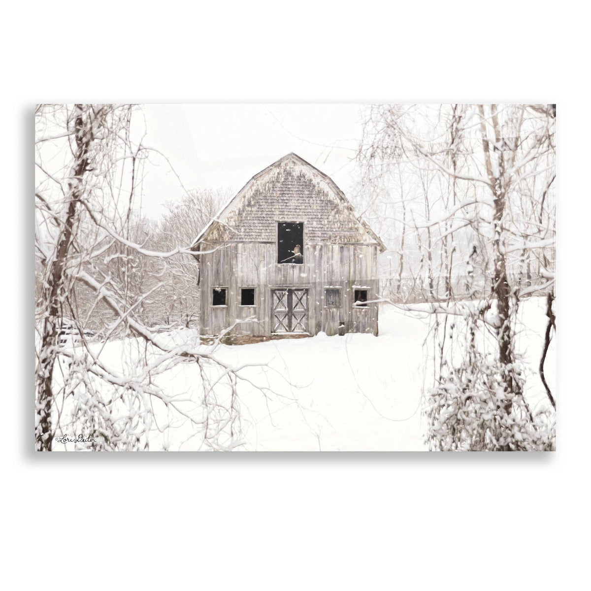 Epic Art 'The New Tenant' by Lori Deiter, Acrylic Glass Wall Art