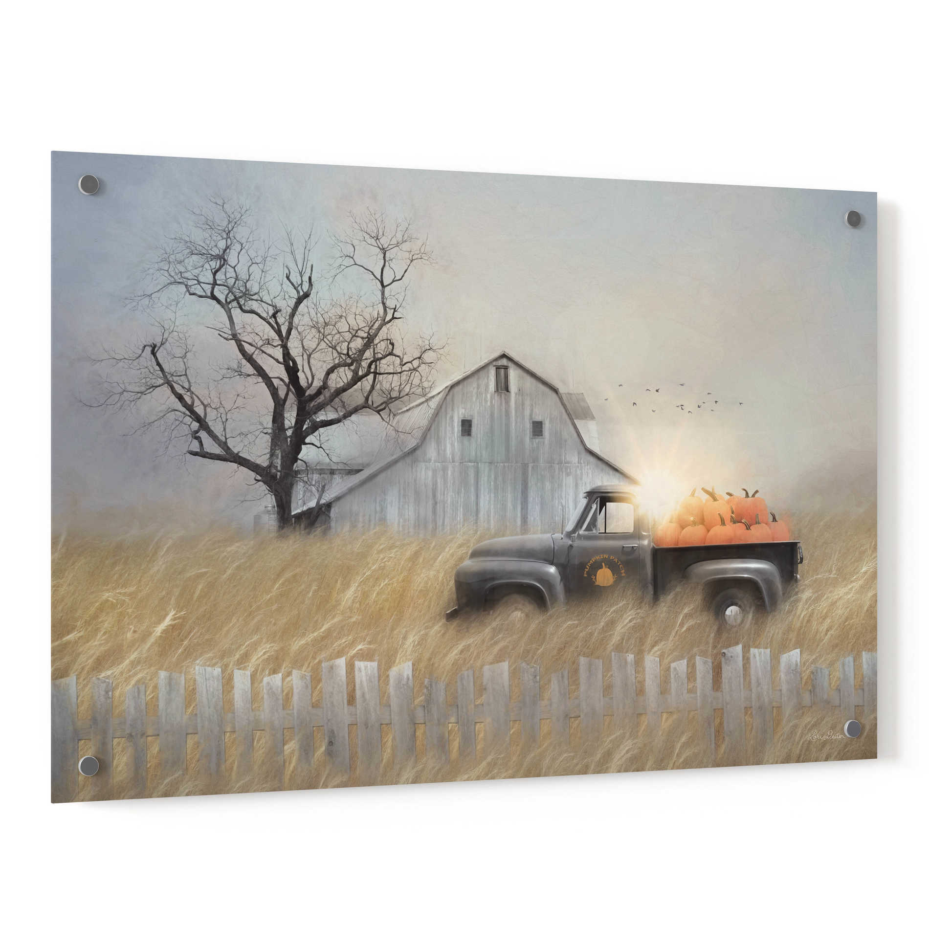 Epic Art 'Fall Pumpkin Harvest' by Lori Deiter, Acrylic Glass Wall Art,36x24