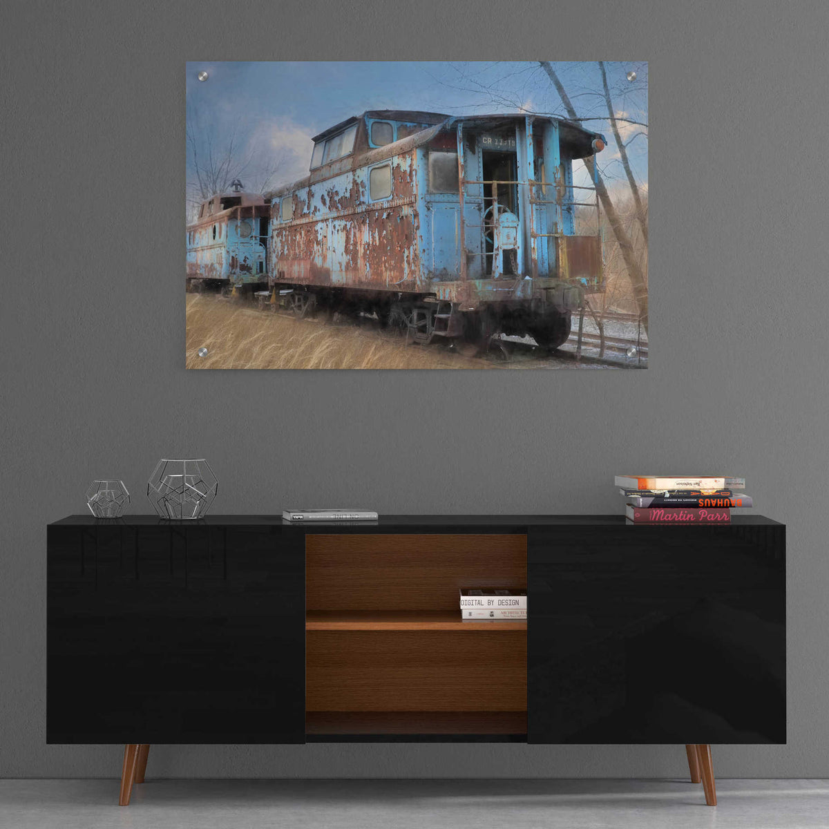 Epic Art 'The Dalmatia Run' by Lori Deiter, Acrylic Glass Wall Art,36x24