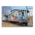 Epic Art 'The Dalmatia Run' by Lori Deiter, Acrylic Glass Wall Art