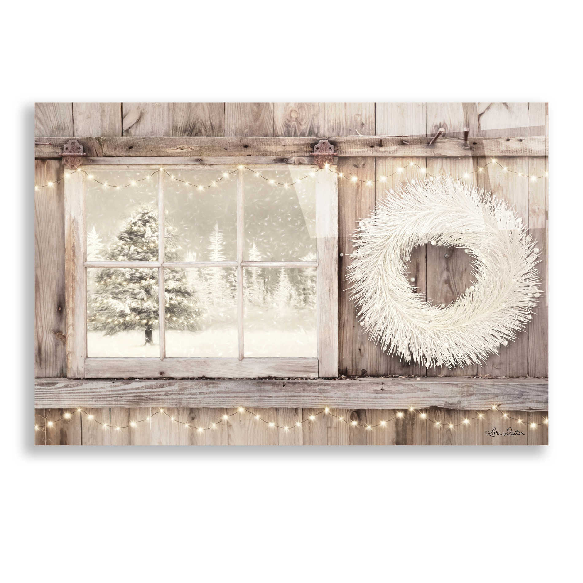 Epic Art 'Winter White View' by Lori Deiter, Acrylic Glass Wall Art,24x16