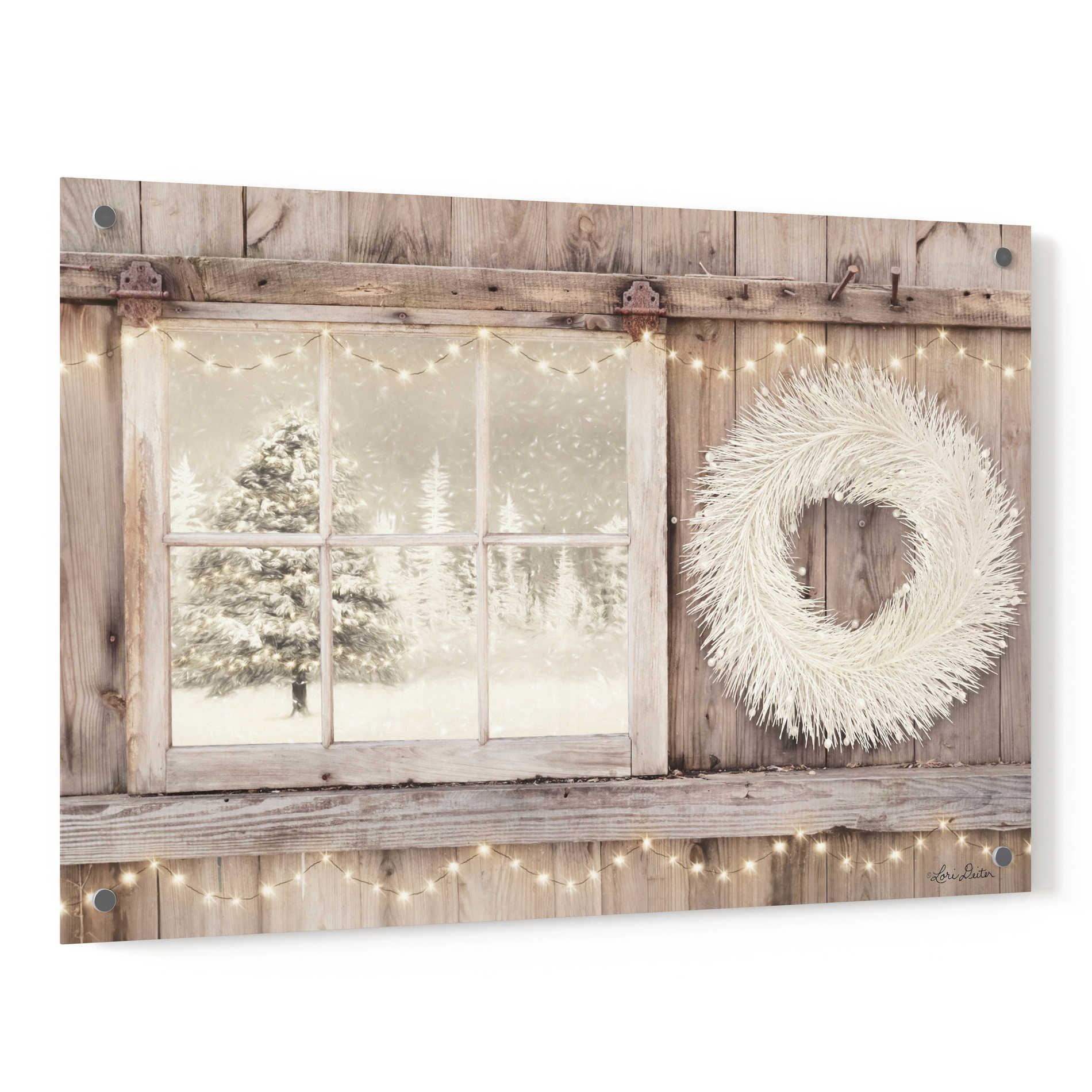 Epic Art 'Winter White View' by Lori Deiter, Acrylic Glass Wall Art,36x24