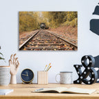 Epic Art 'Great Smoky Mountains Railroad' by Lori Deiter, Acrylic Glass Wall Art,16x12