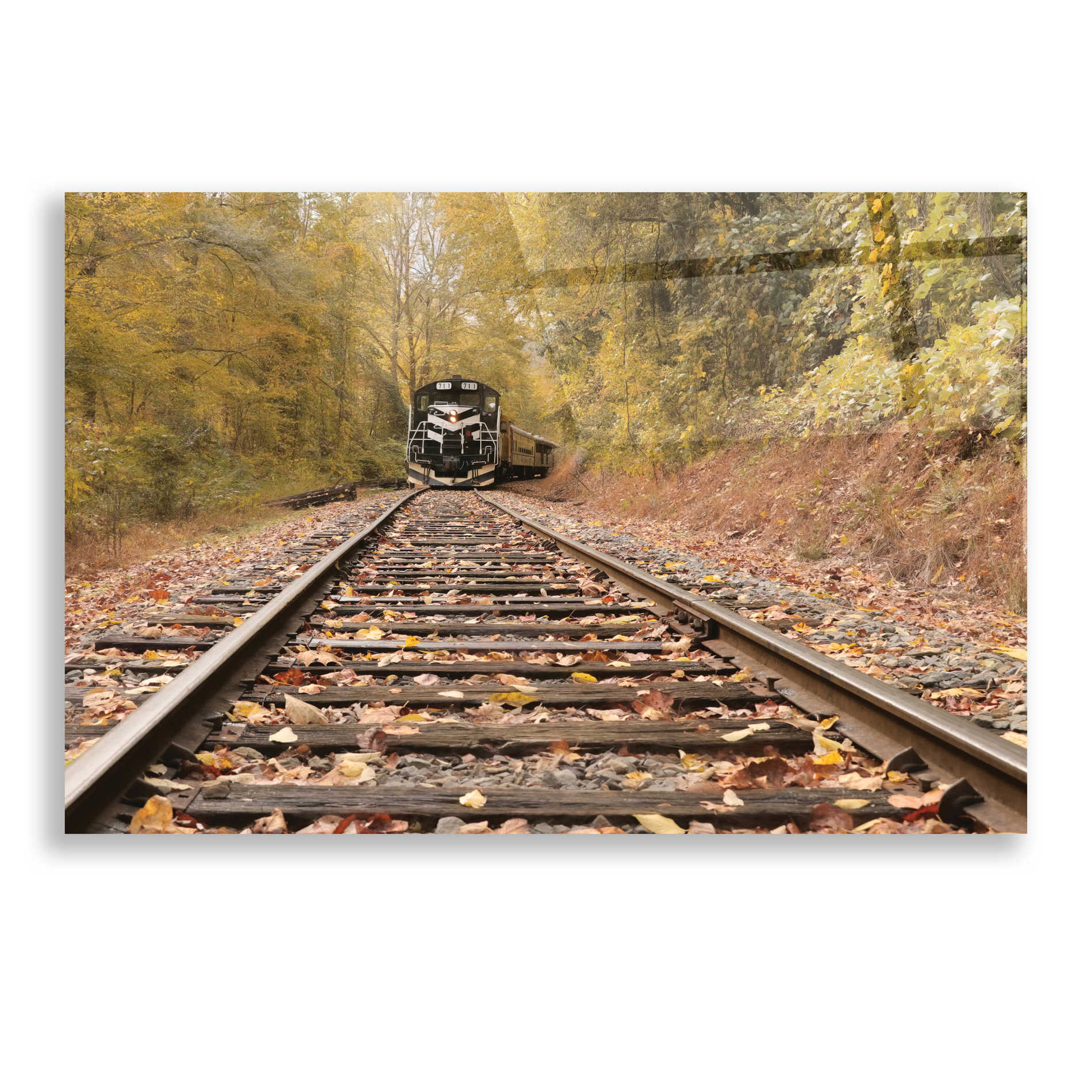 Epic Art 'Great Smoky Mountains Railroad' by Lori Deiter, Acrylic Glass Wall Art,24x16