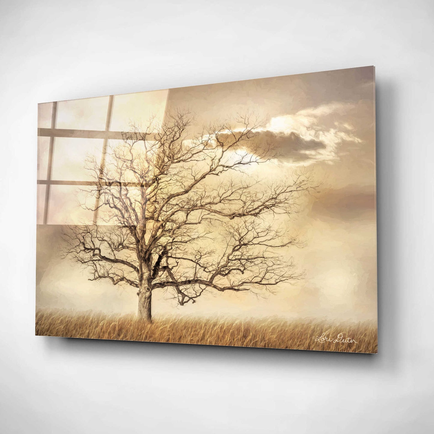 Epic Art 'Golden Tree' by Lori Deiter, Acrylic Glass Wall Art,24x16