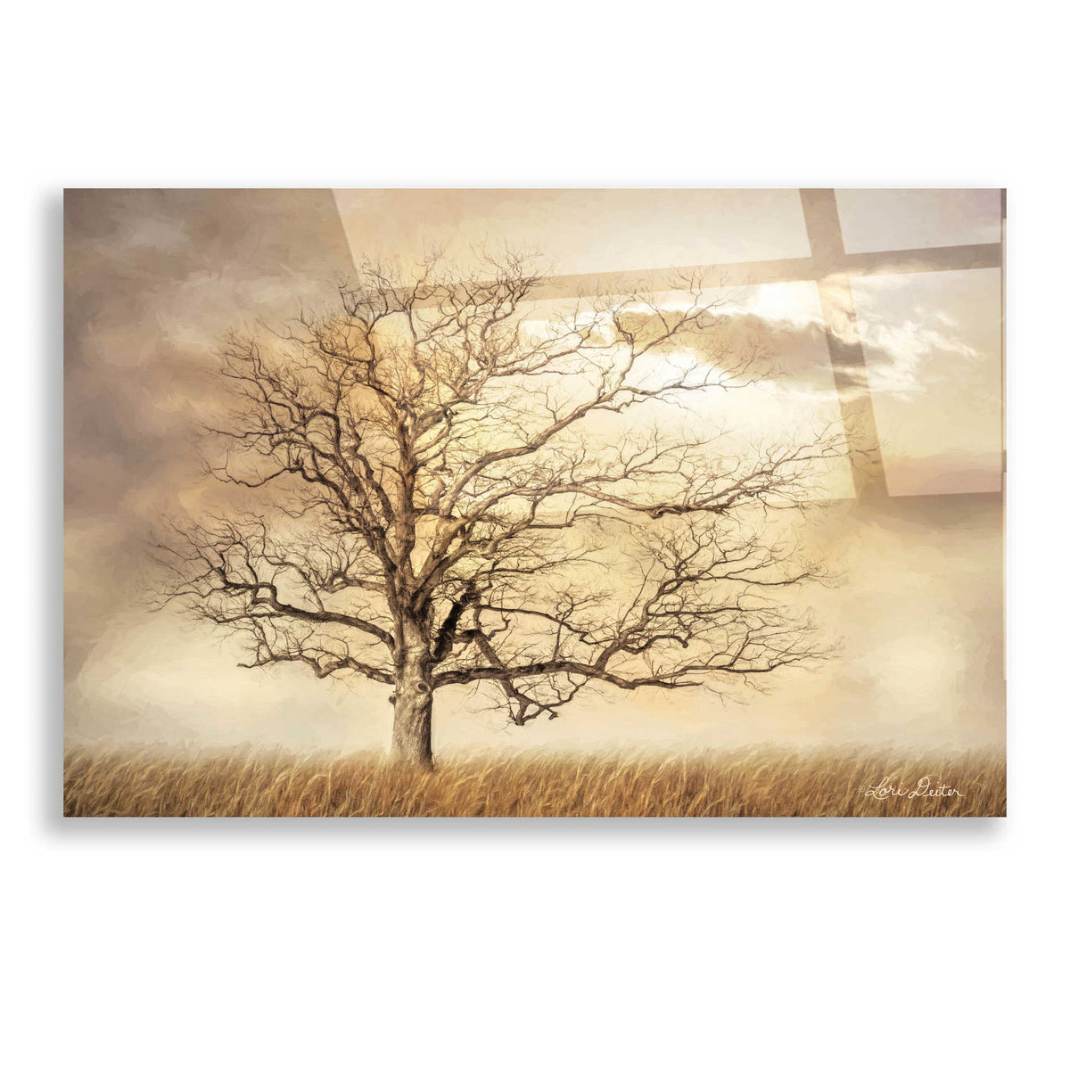 Epic Art 'Golden Tree' by Lori Deiter, Acrylic Glass Wall Art