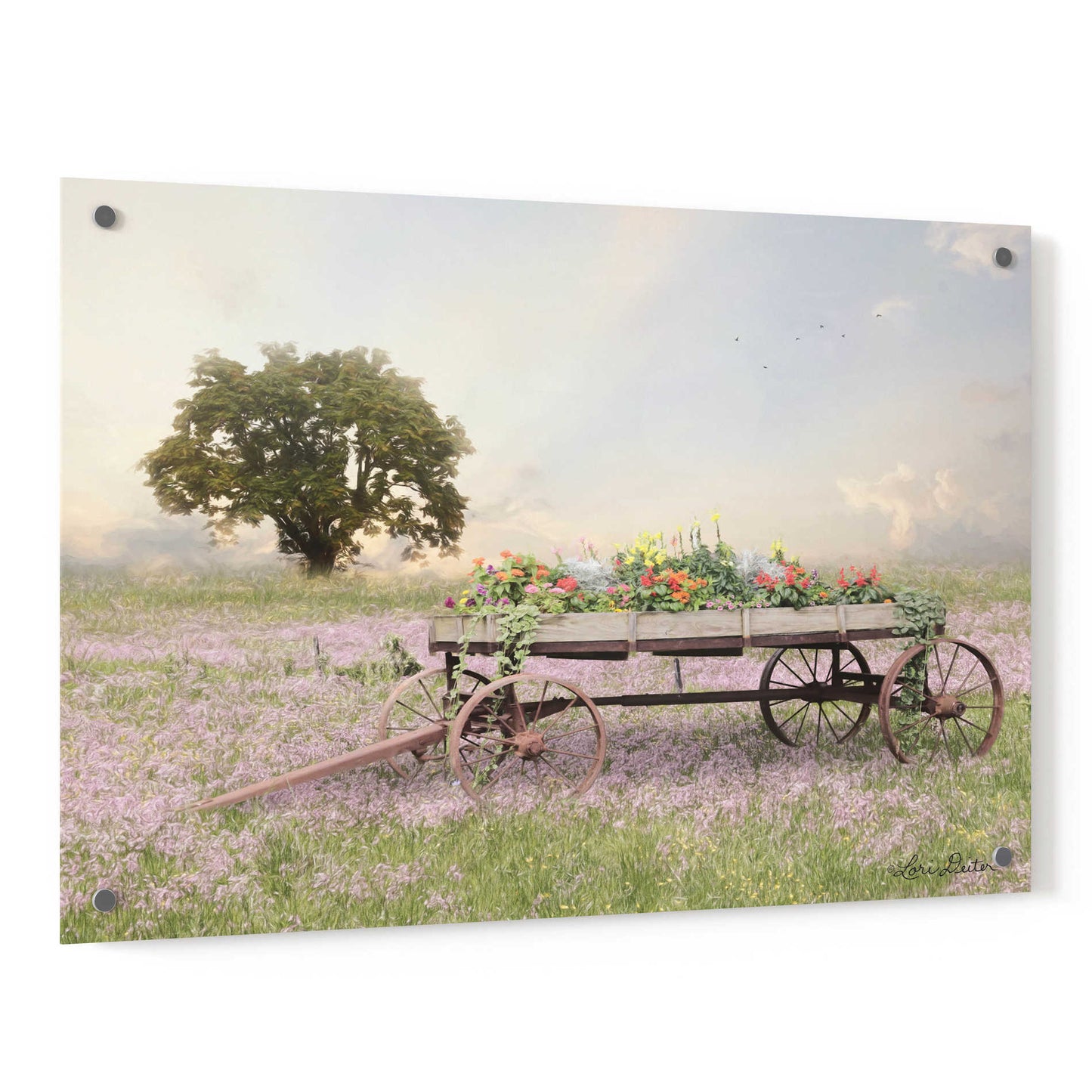 Epic Art 'Flower Wagon at Sunset' by Lori Deiter, Acrylic Glass Wall Art,36x24