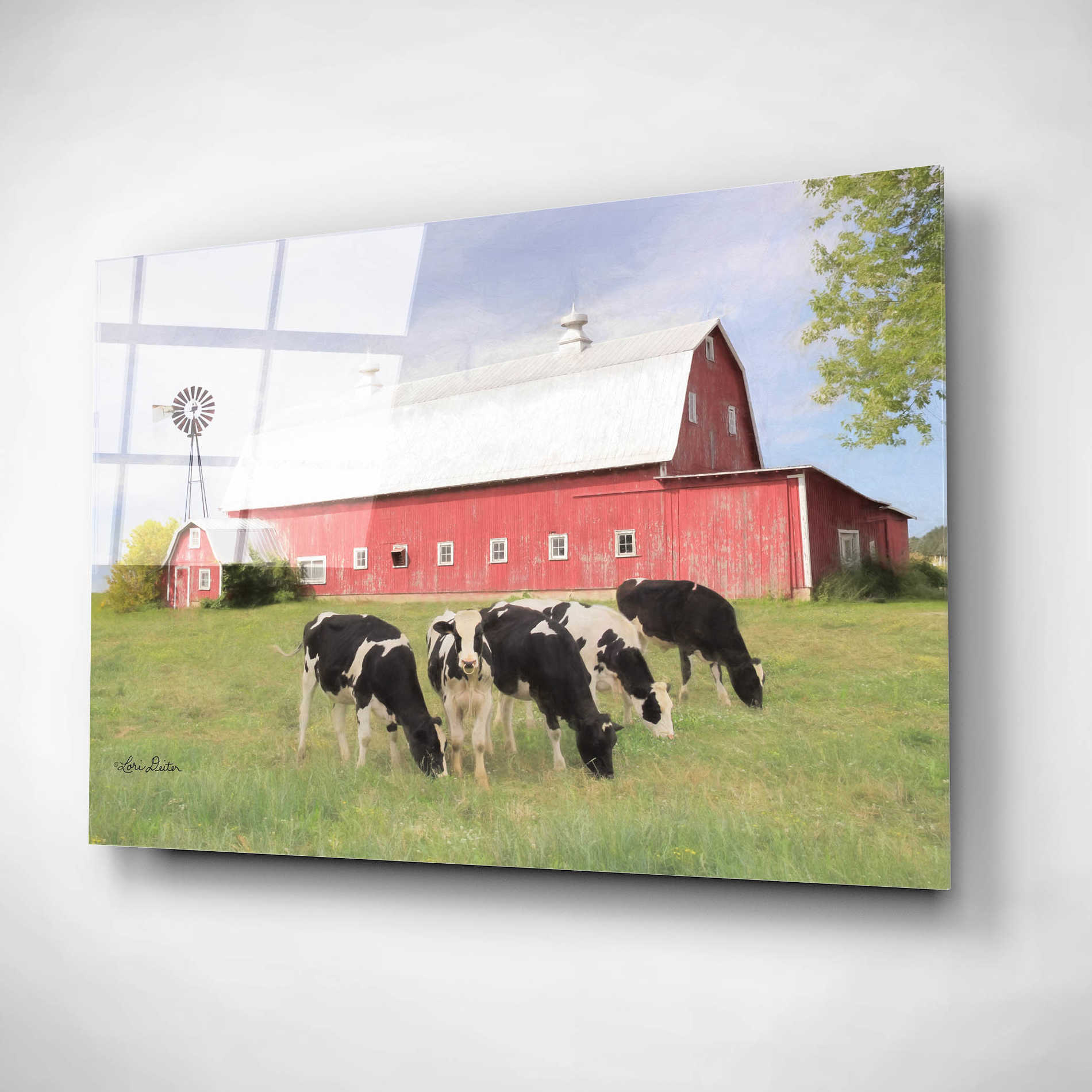 Epic Art 'Henderson Cows' by Lori Deiter, Acrylic Glass Wall Art,16x12
