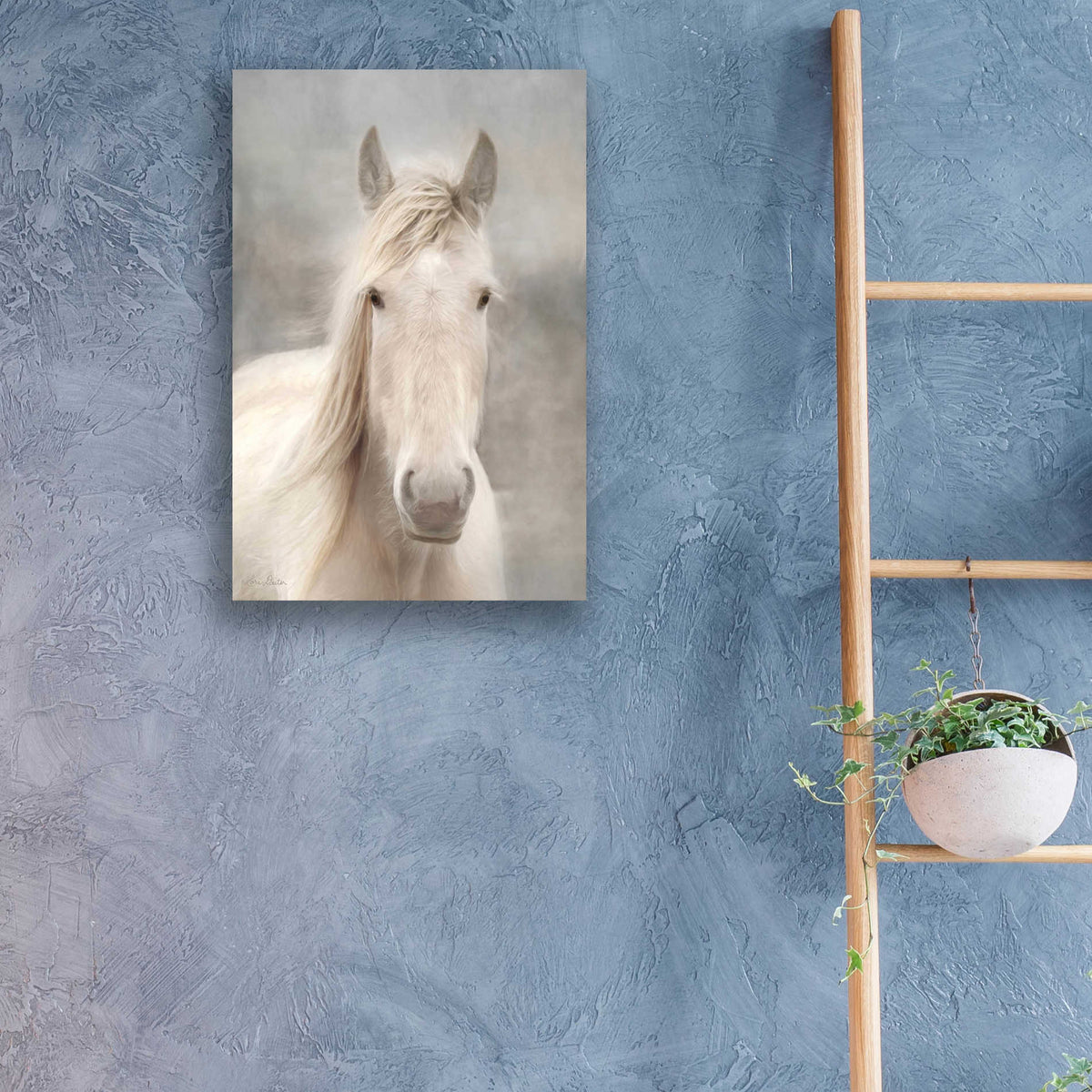 Epic Art 'White Beauty I' by Lori Deiter, Acrylic Glass Wall Art,16x24