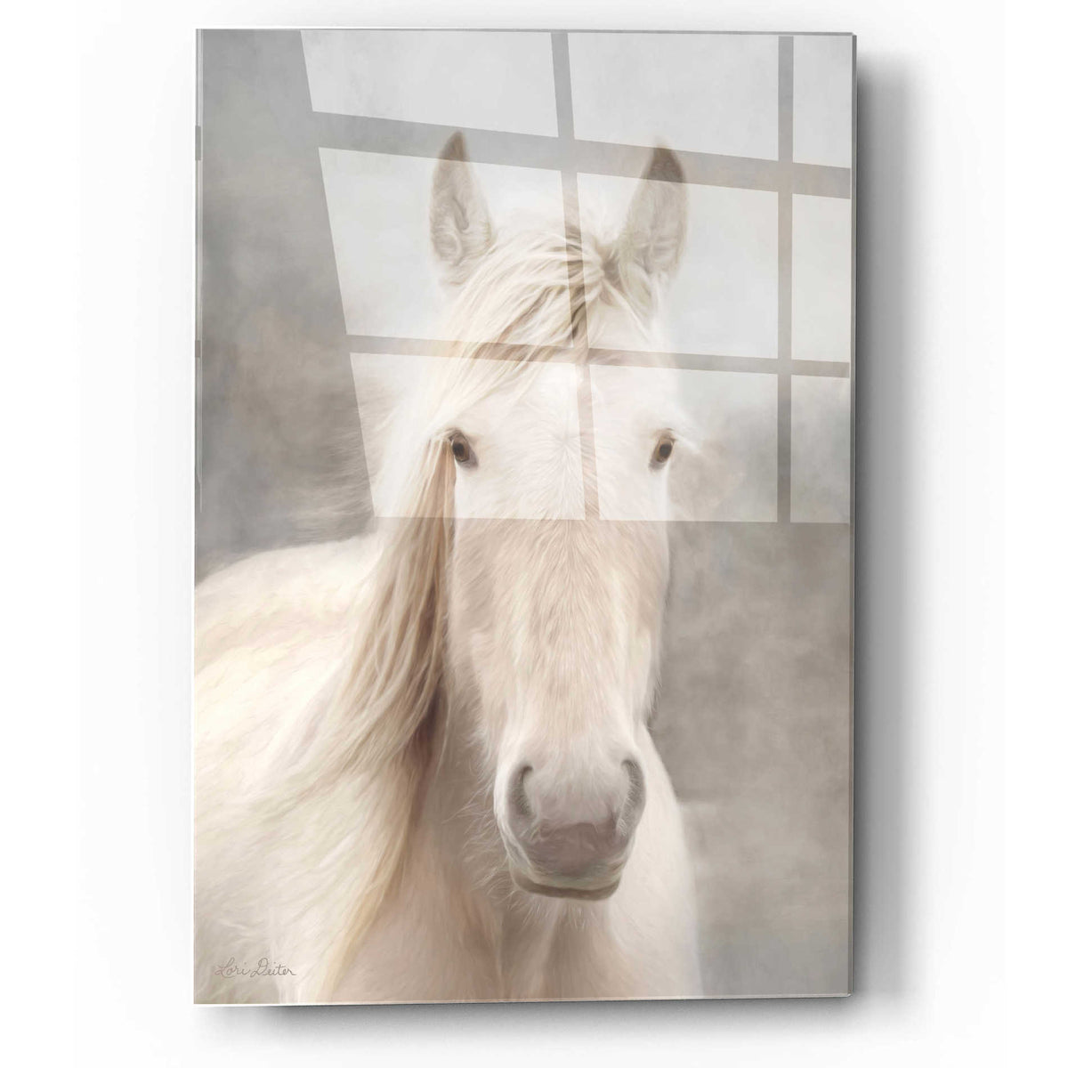 Epic Art 'White Beauty I' by Lori Deiter, Acrylic Glass Wall Art