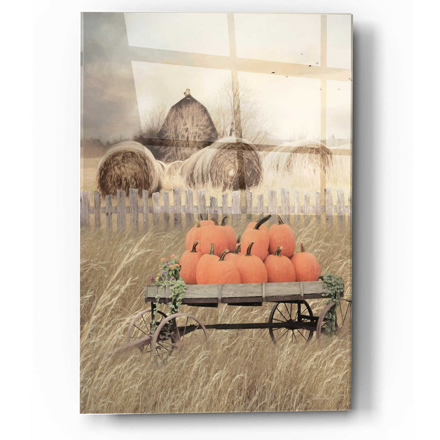 Epic Art 'Pumpkin Harvest' by Lori Deiter, Acrylic Glass Wall Art,12x16