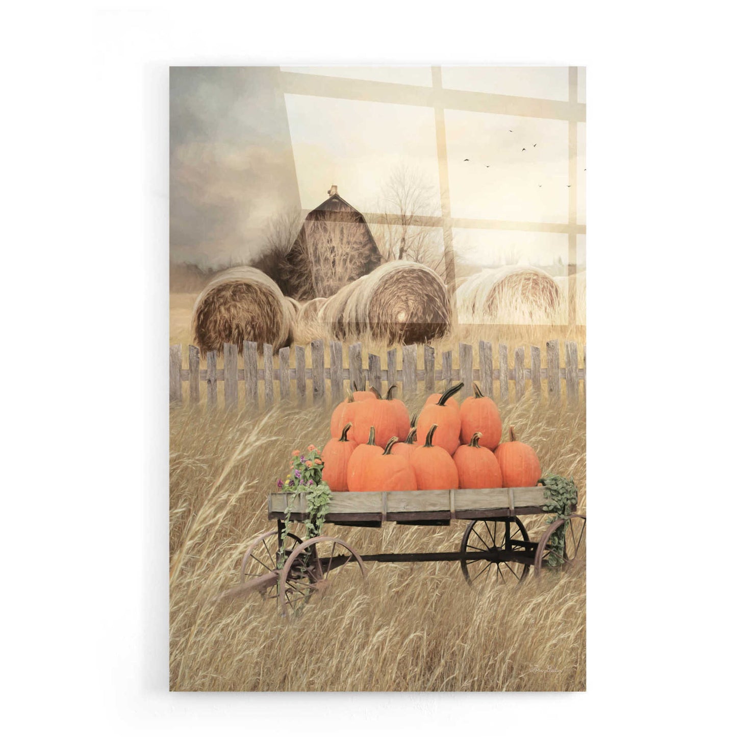 Epic Art 'Pumpkin Harvest' by Lori Deiter, Acrylic Glass Wall Art,16x24