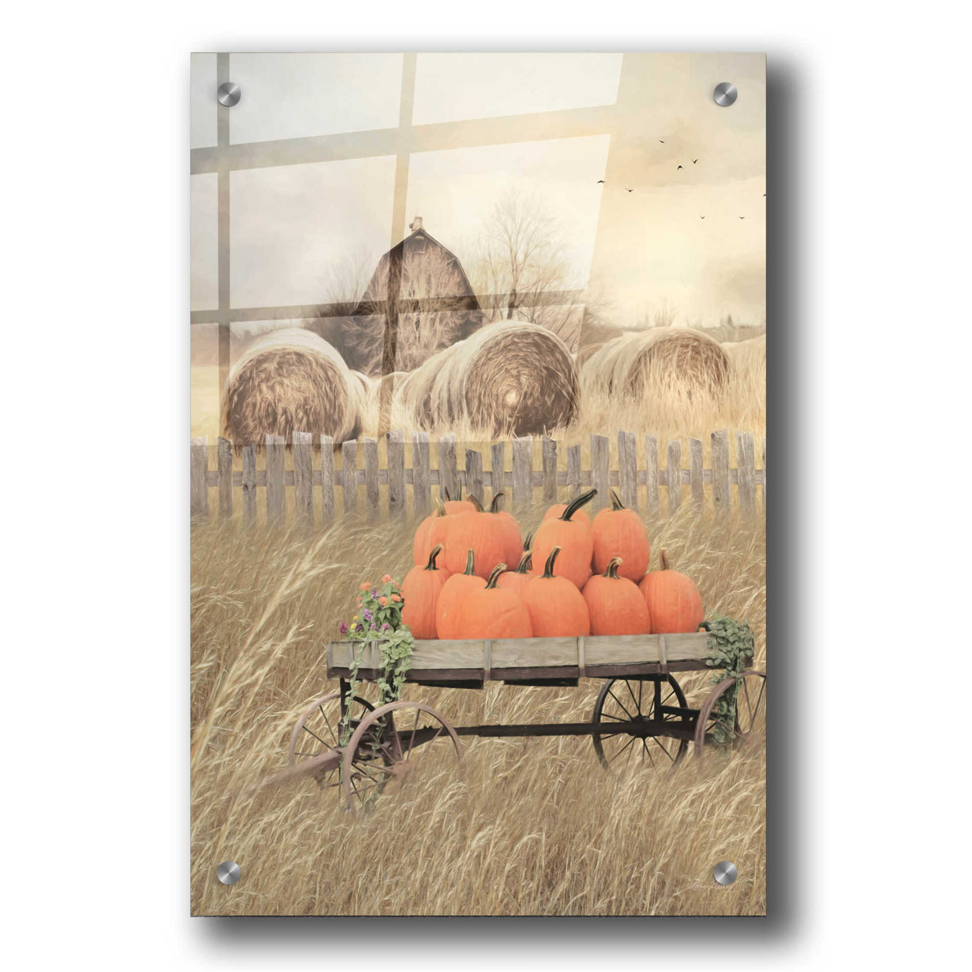 Epic Art 'Pumpkin Harvest' by Lori Deiter, Acrylic Glass Wall Art,24x36
