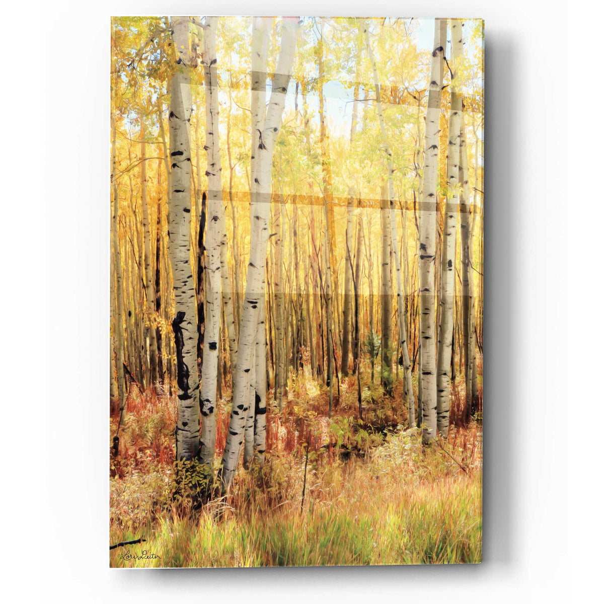 Epic Art 'Solid Gold II - Dark version' by Lori Deiter, Acrylic Glass Wall Art