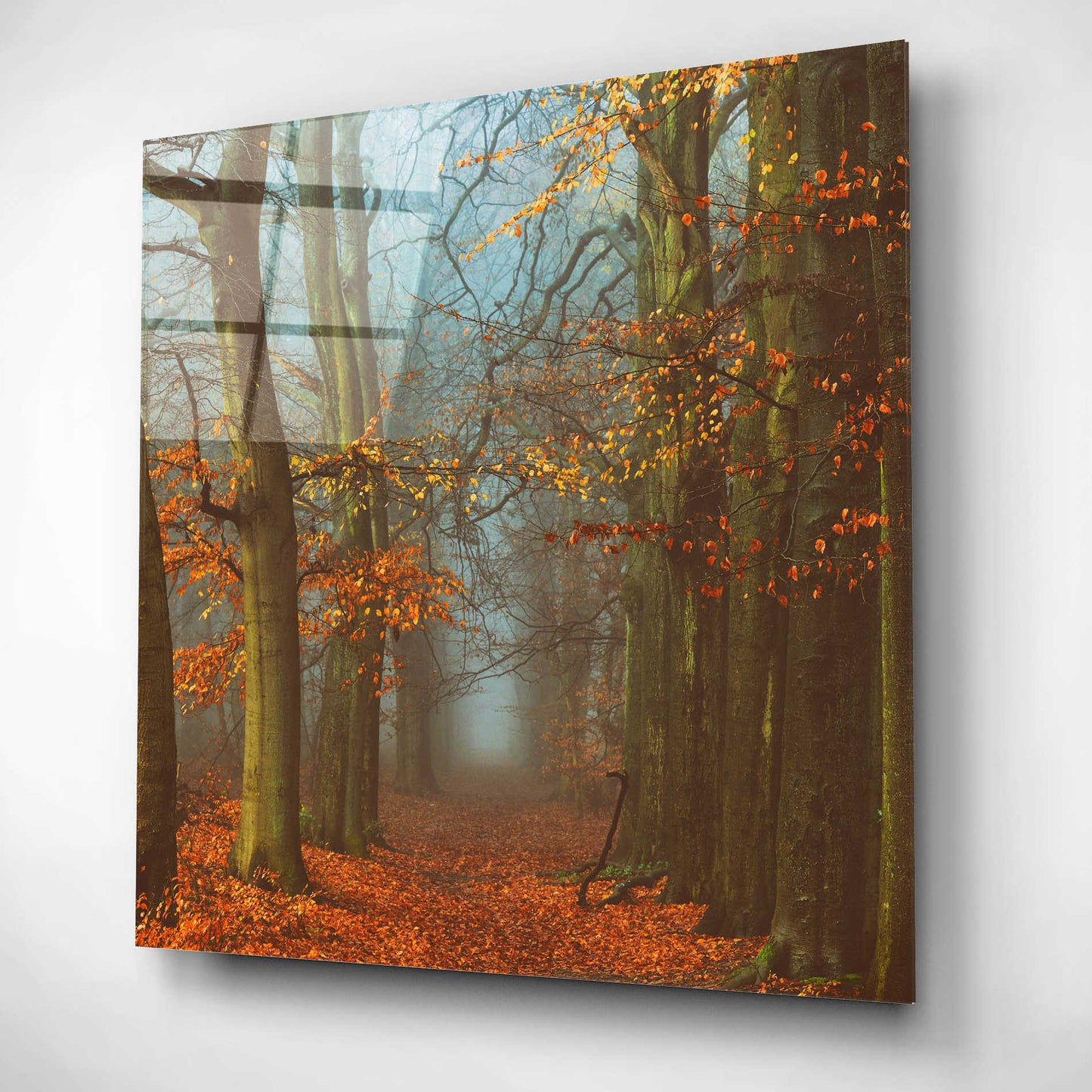 Epic Art 'Path of The Mystics' by Lars Van de Goor, Acrylic Glass Wall Art,12x12