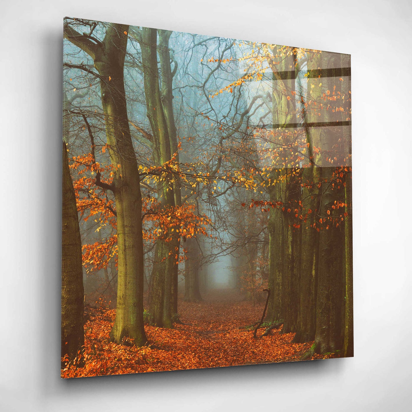 Epic Art 'Path of The Mystics' by Lars Van de Goor, Acrylic Glass Wall Art,12x12