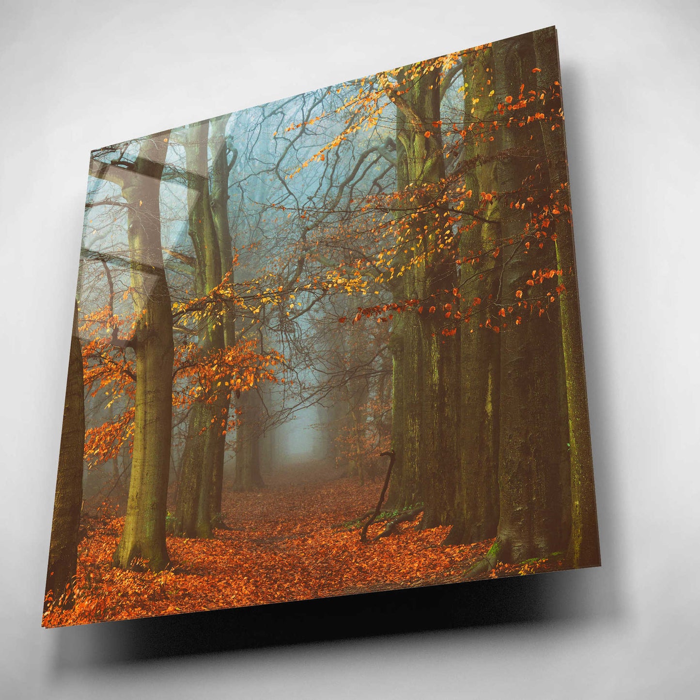 Epic Art 'Path of The Mystics' by Lars Van de Goor, Acrylic Glass Wall Art,12x12