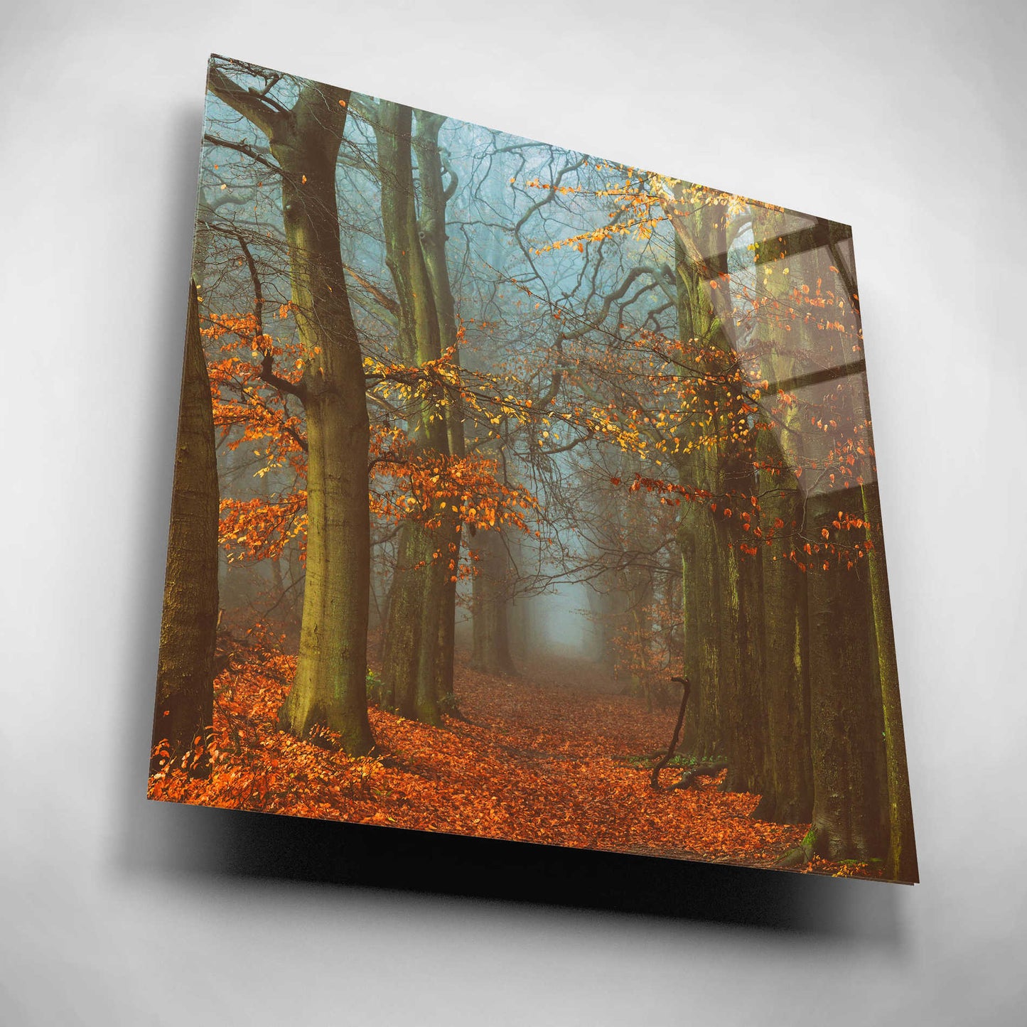 Epic Art 'Path of The Mystics' by Lars Van de Goor, Acrylic Glass Wall Art,12x12