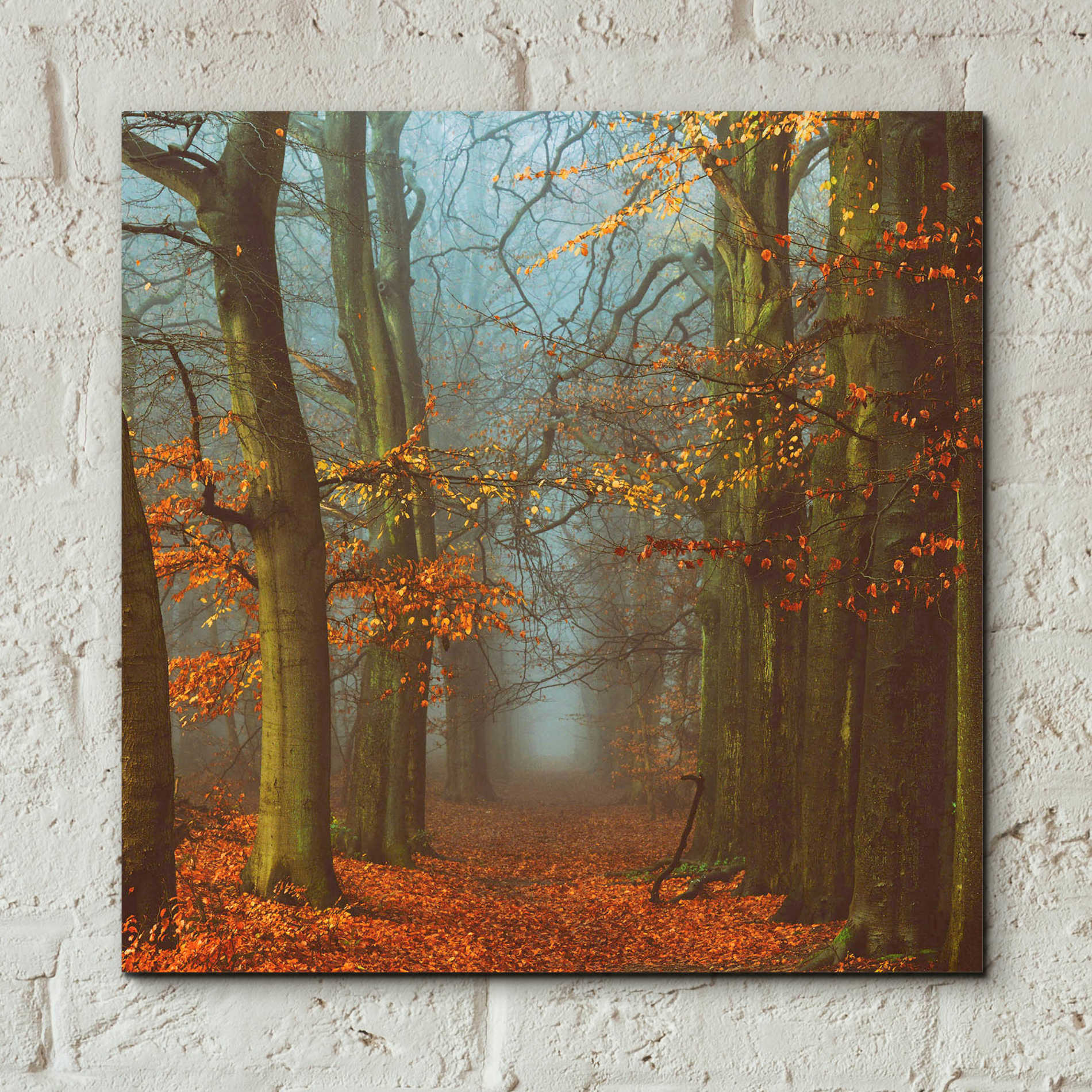 Epic Art 'Path of The Mystics' by Lars Van de Goor, Acrylic Glass Wall Art,12x12