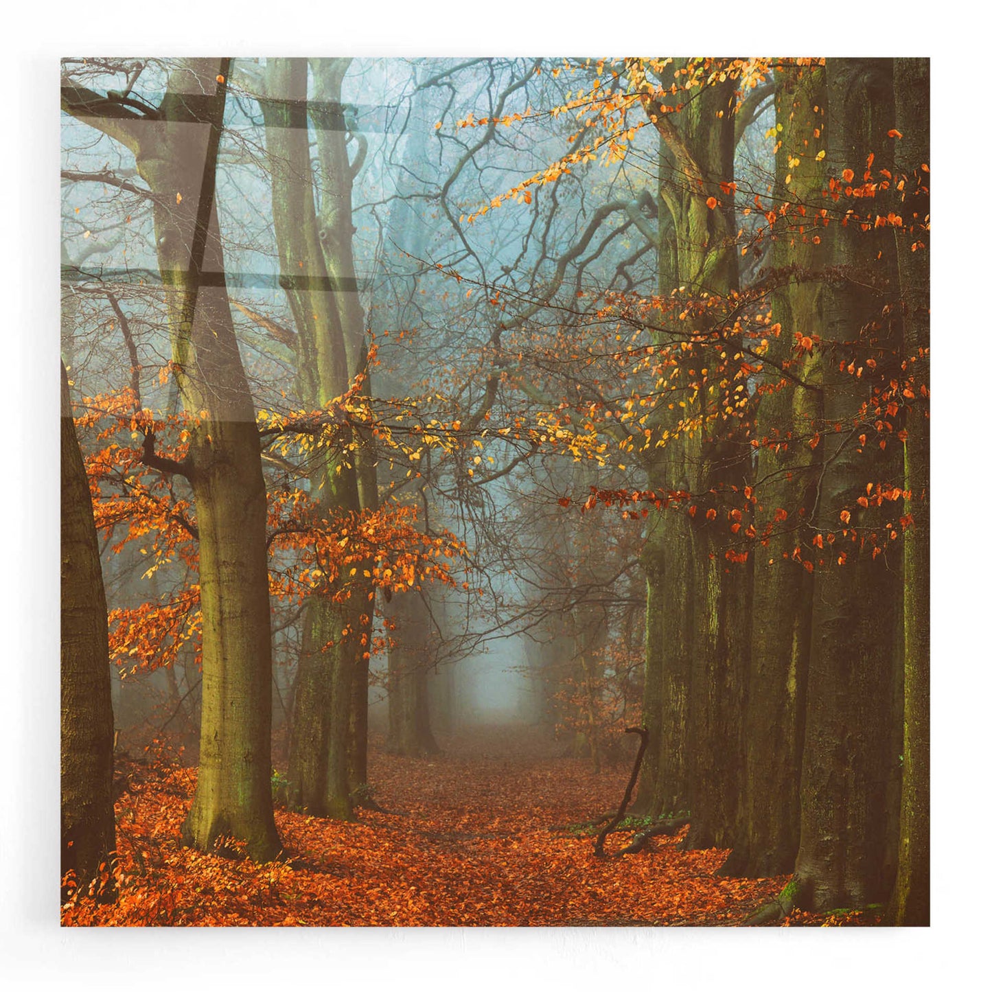 Epic Art 'Path of The Mystics' by Lars Van de Goor, Acrylic Glass Wall Art,12x12