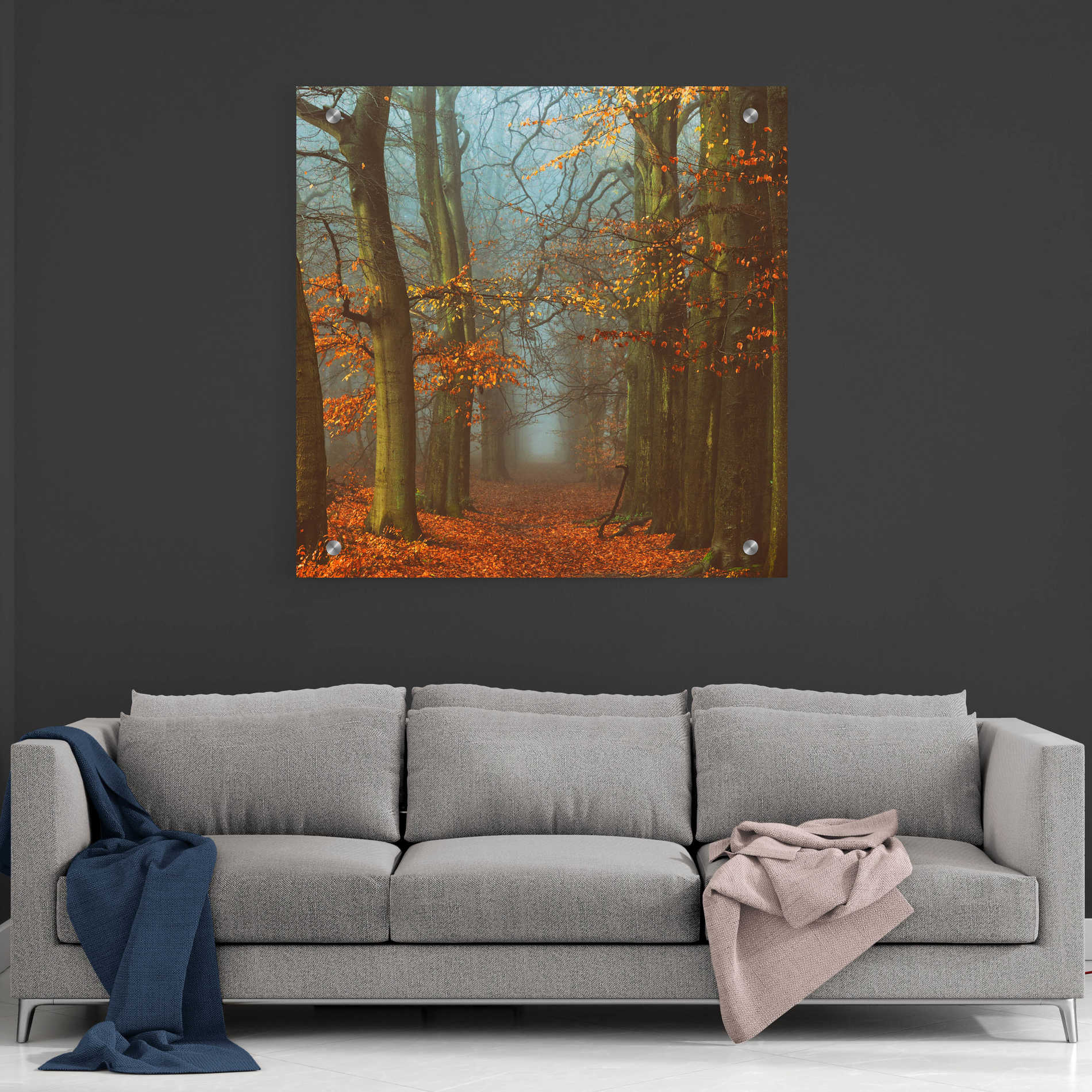 Epic Art 'Path of The Mystics' by Lars Van de Goor, Acrylic Glass Wall Art,36x36