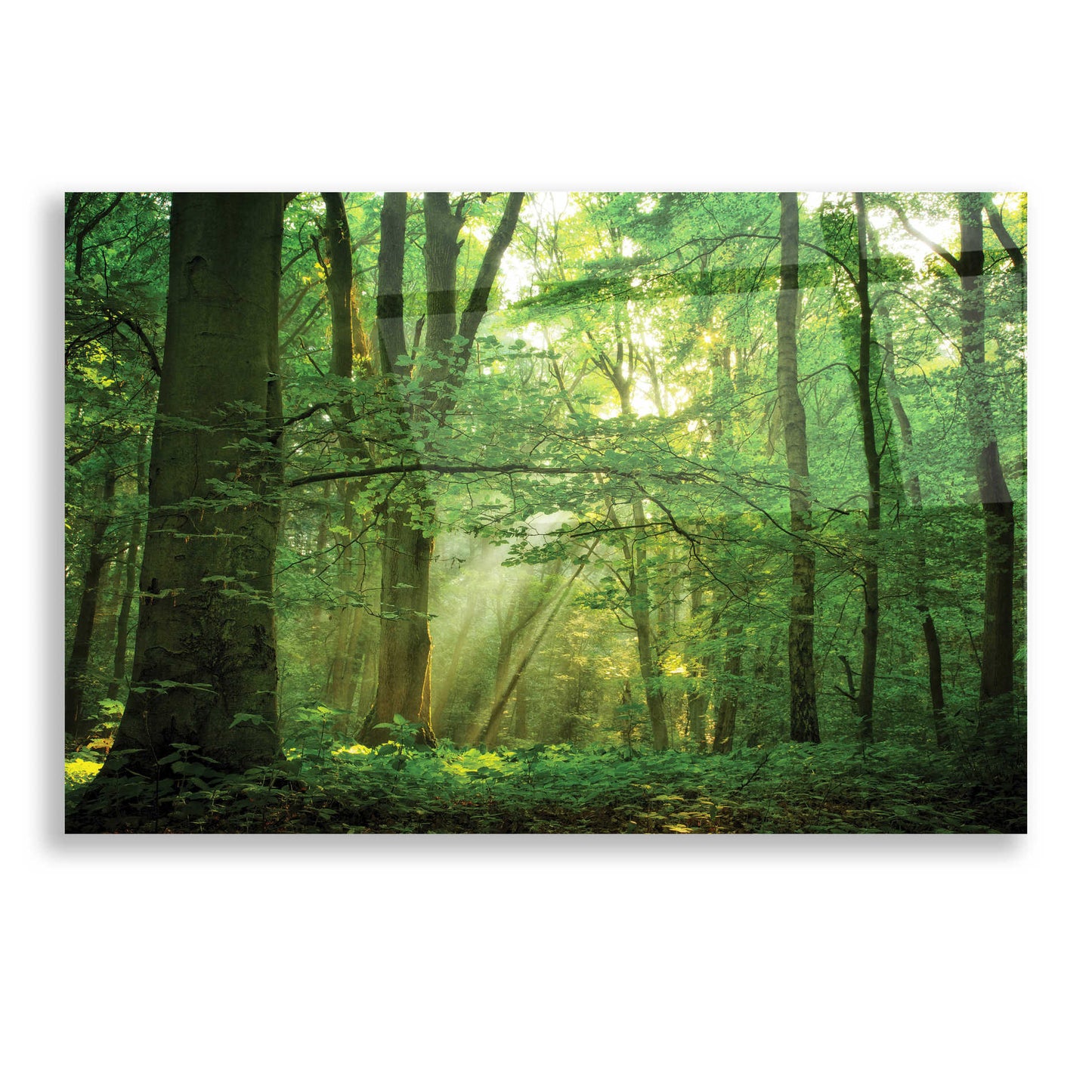 Epic Art 'Breathe' by Lars Van de Goor, Acrylic Glass Wall Art,16x12