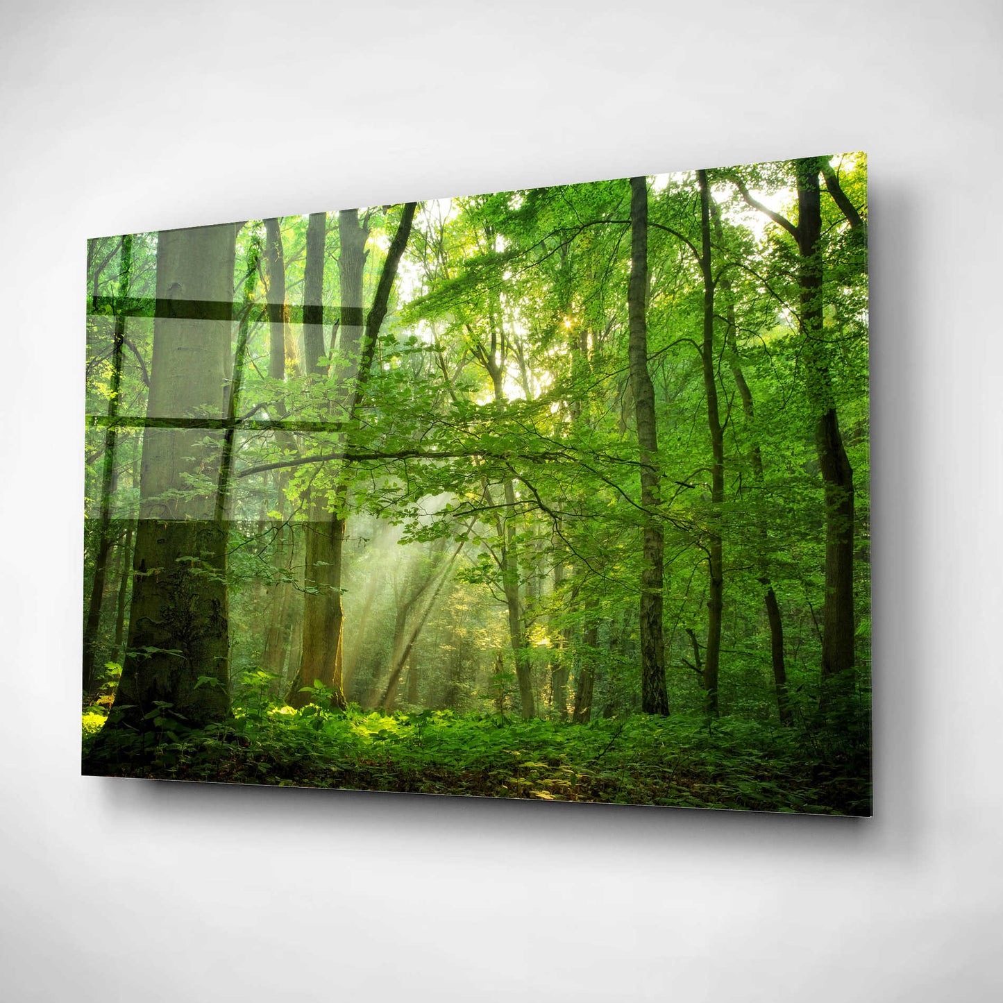 Epic Art 'Breathe' by Lars Van de Goor, Acrylic Glass Wall Art,24x16