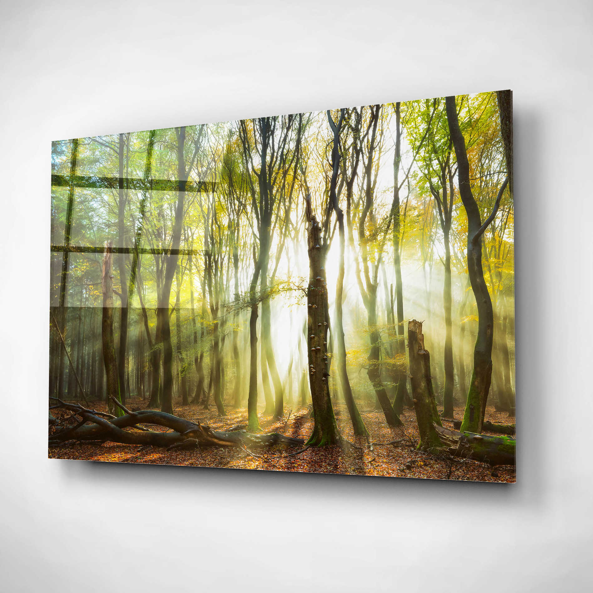 Epic Art 'Still Standing' by Lars Van de Goor, Acrylic Glass Wall Art,16x12