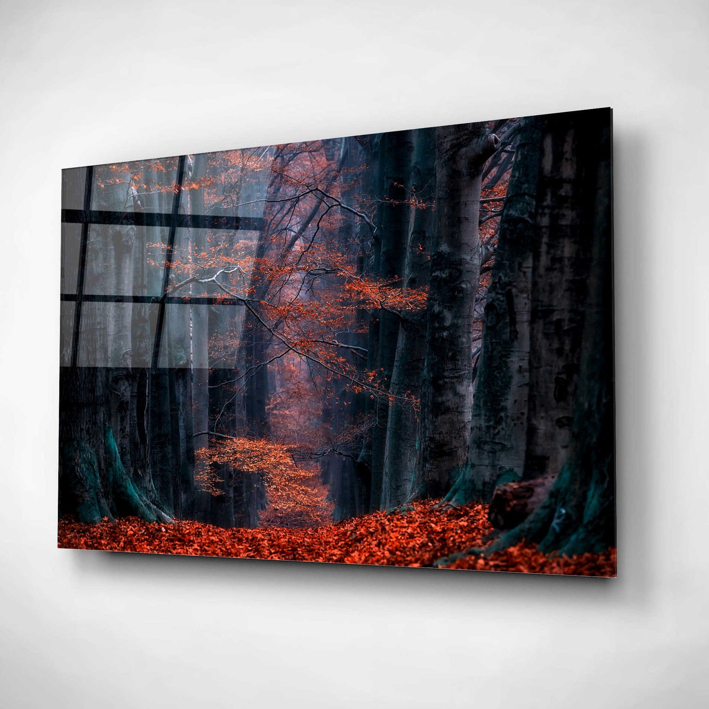 Epic Art 'Synapse' by Lars Van de Goor, Acrylic Glass Wall Art,16x12