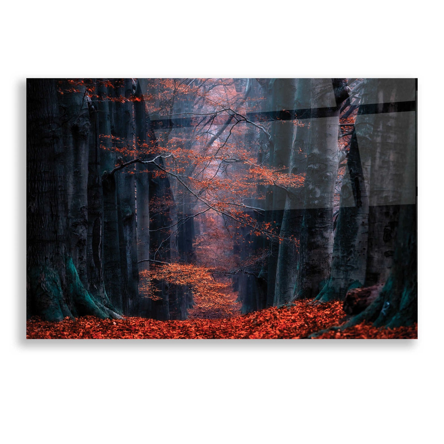 Epic Art 'Synapse' by Lars Van de Goor, Acrylic Glass Wall Art,16x12