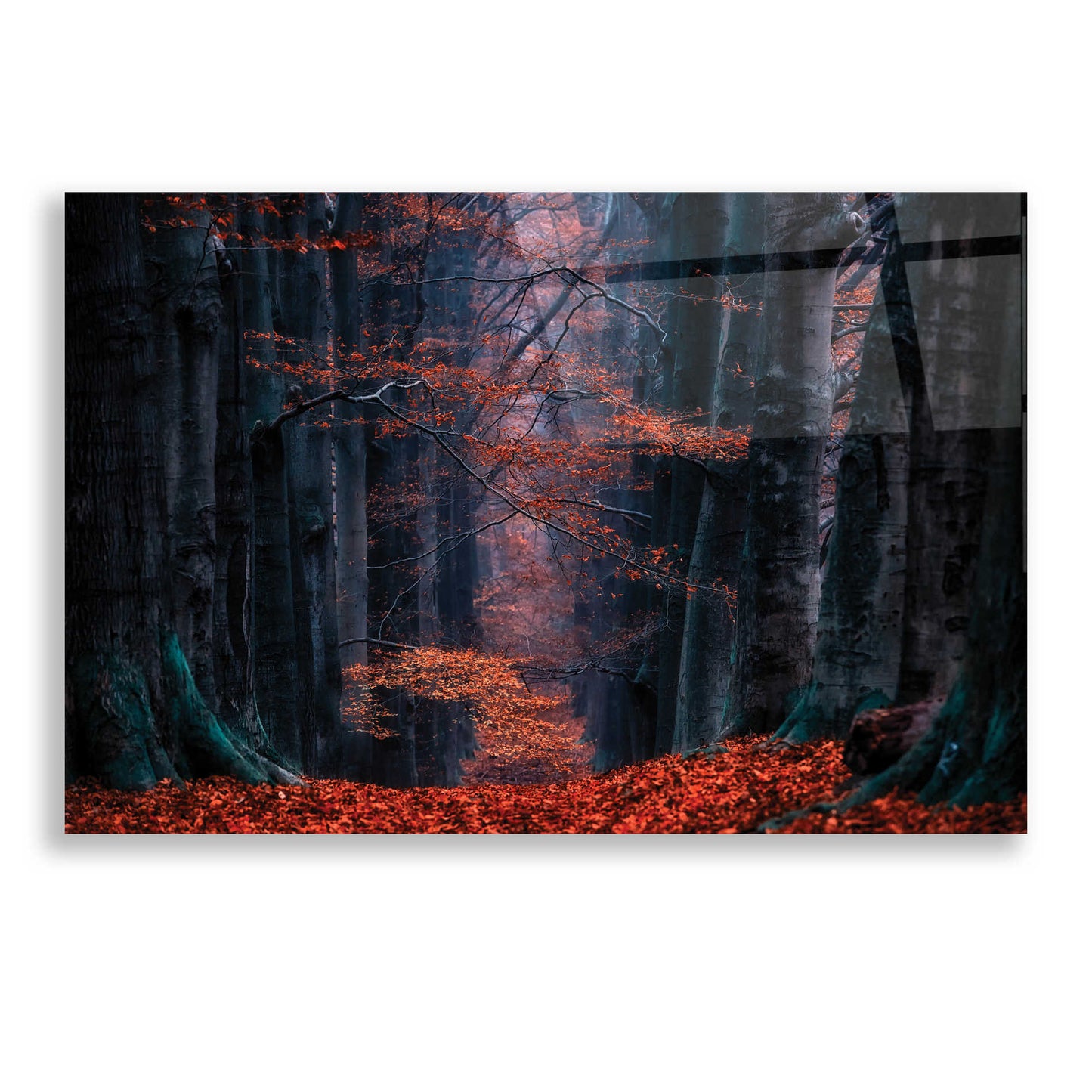 Epic Art 'Synapse' by Lars Van de Goor, Acrylic Glass Wall Art,24x16