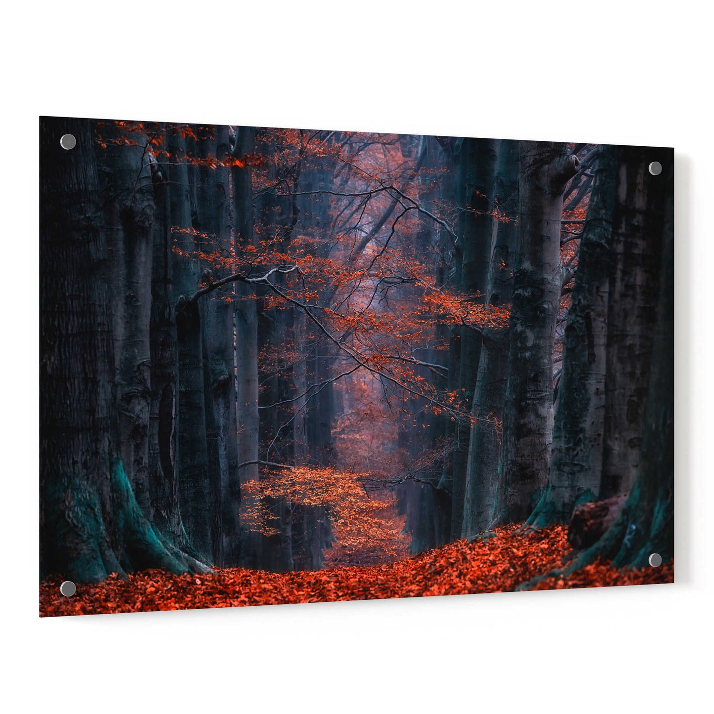 Epic Art 'Synapse' by Lars Van de Goor, Acrylic Glass Wall Art,36x24