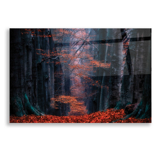 Epic Art 'Synapse' by Lars Van de Goor, Acrylic Glass Wall Art