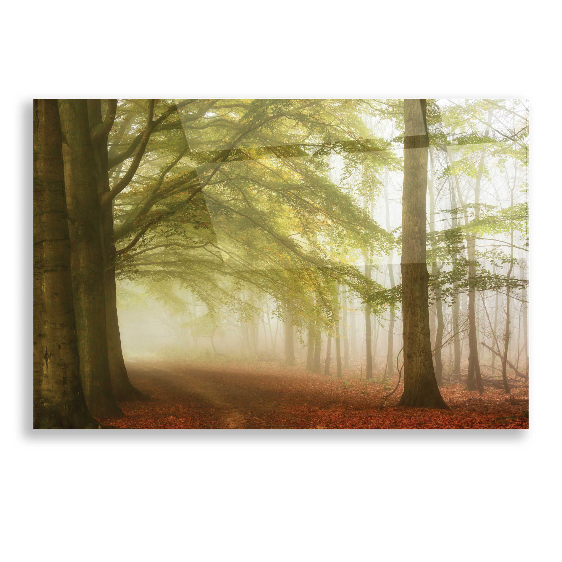 Epic Art 'Dreamwalkers' by Lars Van de Goor, Acrylic Glass Wall Art,16x12