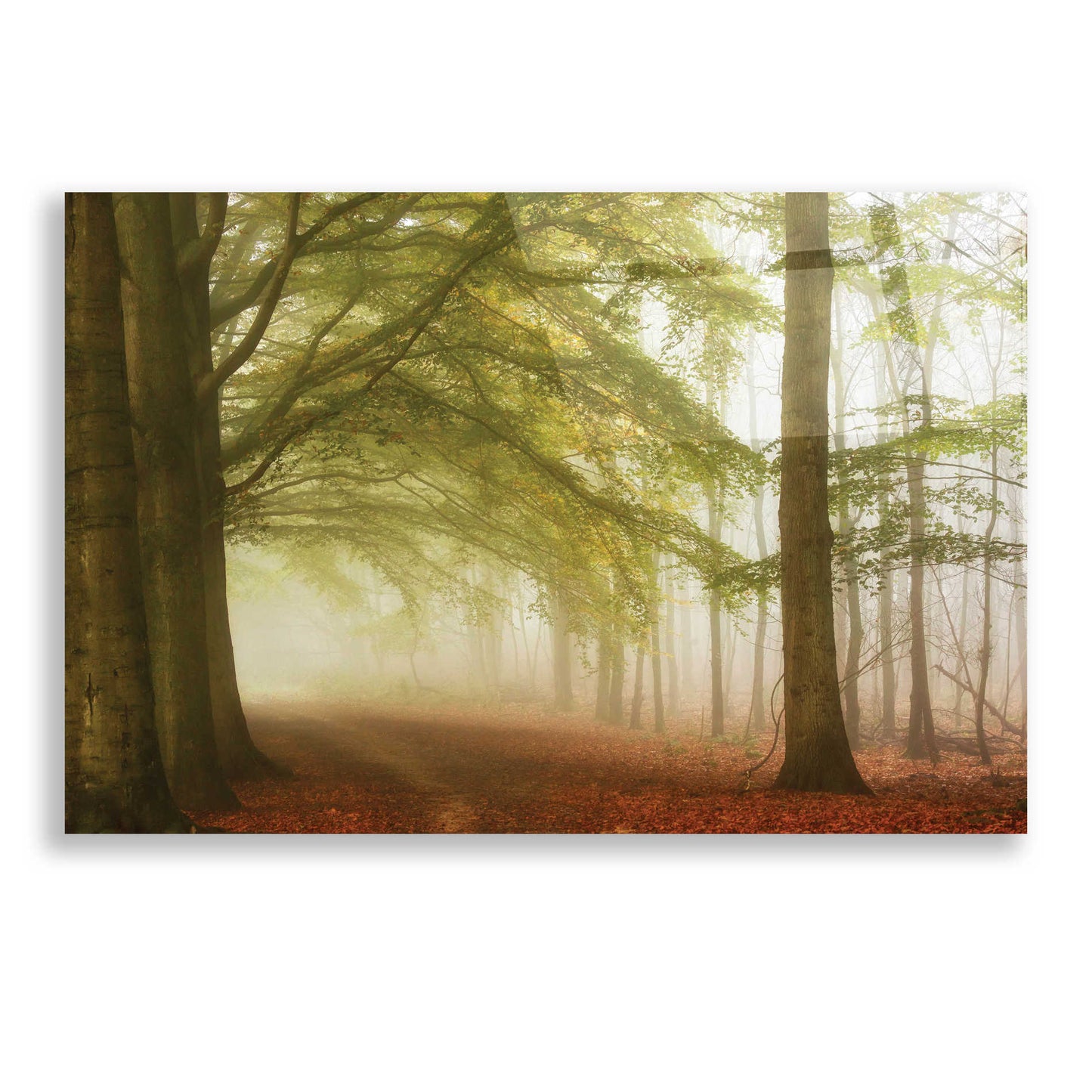 Epic Art 'Dreamwalkers' by Lars Van de Goor, Acrylic Glass Wall Art,24x16