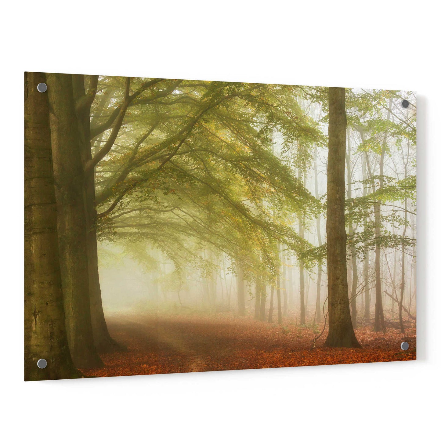 Epic Art 'Dreamwalkers' by Lars Van de Goor, Acrylic Glass Wall Art,36x24