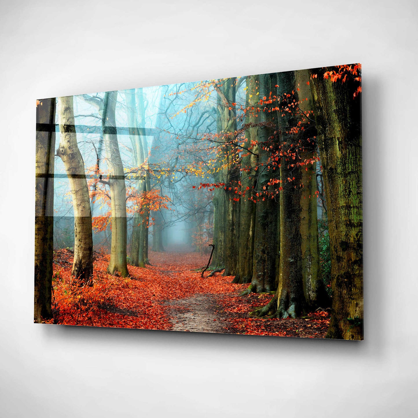 Epic Art 'Bussum in Fall' by Lars Van de Goor, Acrylic Glass Wall Art,16x12