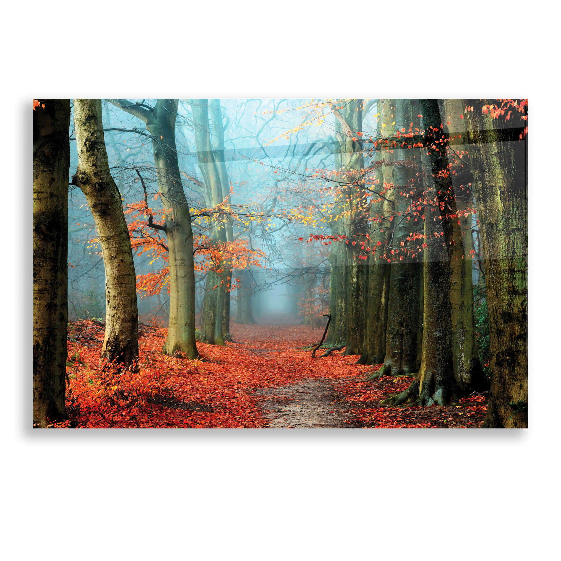 Epic Art 'Bussum in Fall' by Lars Van de Goor, Acrylic Glass Wall Art,16x12