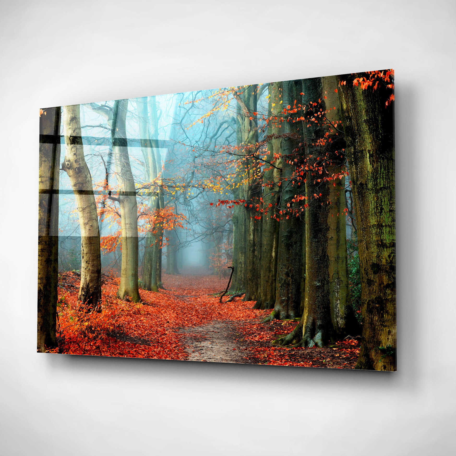 Epic Art 'Bussum in Fall' by Lars Van de Goor, Acrylic Glass Wall Art,24x16