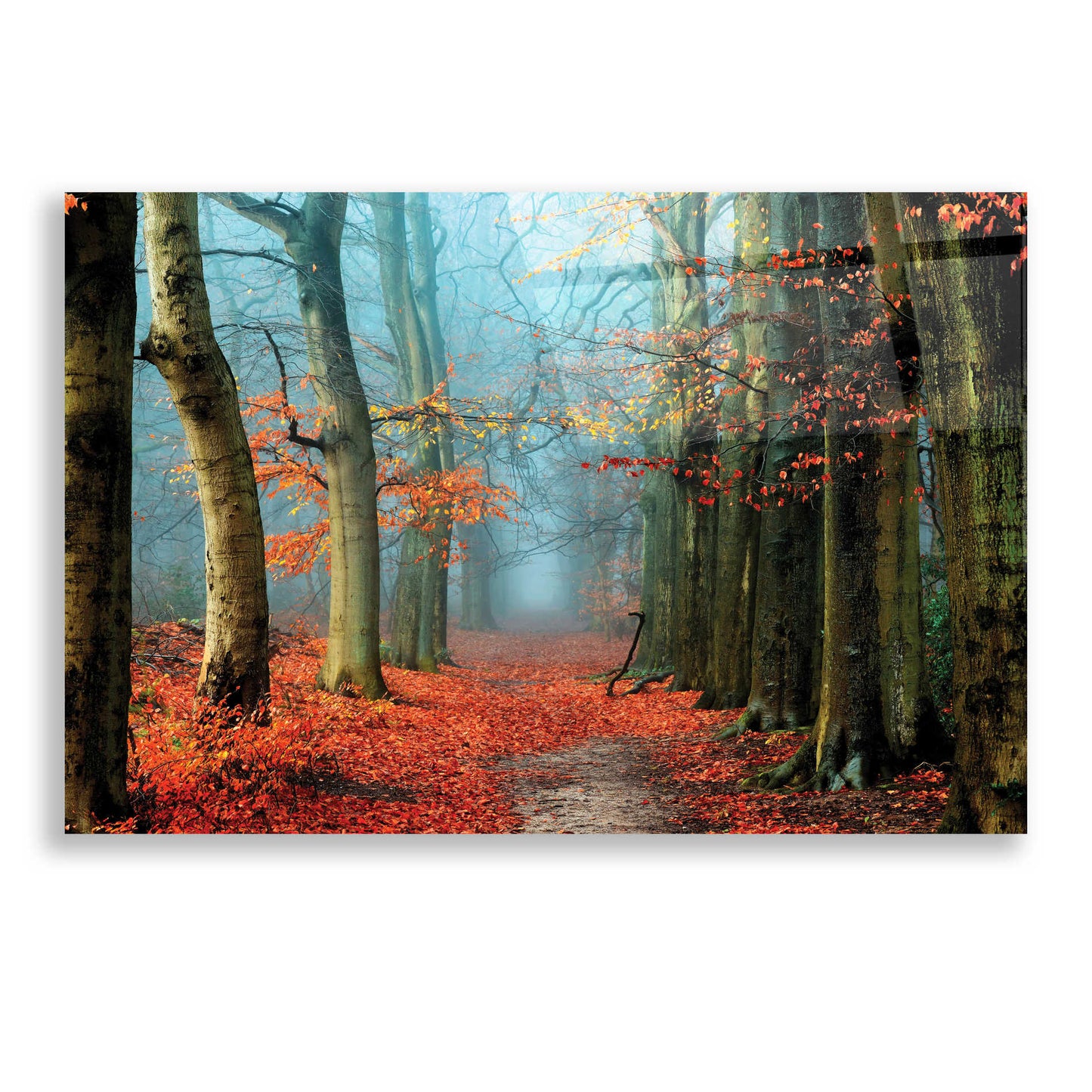 Epic Art 'Bussum in Fall' by Lars Van de Goor, Acrylic Glass Wall Art,24x16