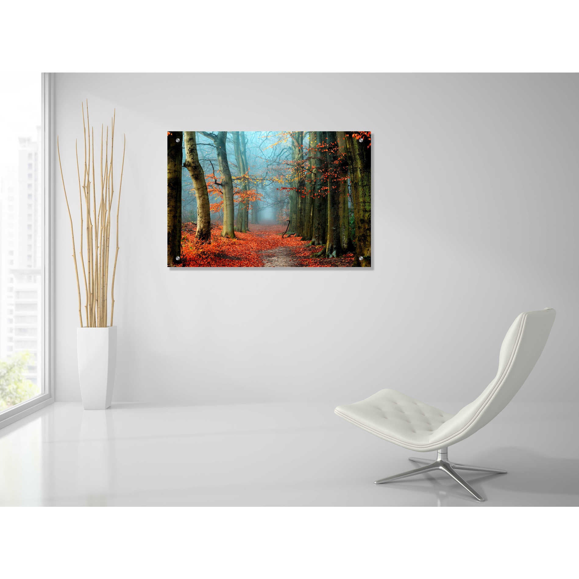 Epic Art 'Bussum in Fall' by Lars Van de Goor, Acrylic Glass Wall Art,36x24