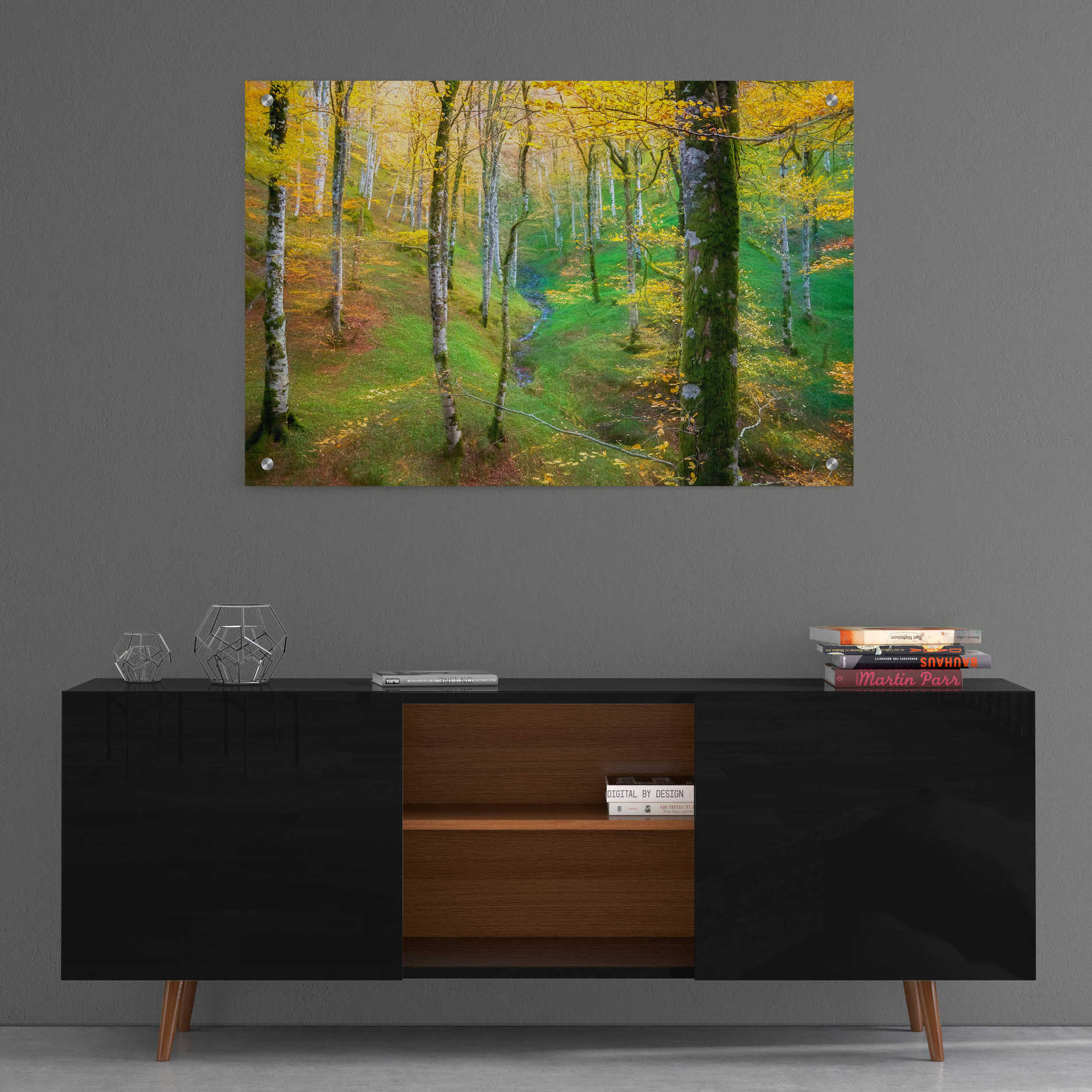 Epic Art 'Dream of Birches' by Lars Van de Goor, Acrylic Glass Wall Art,36x24