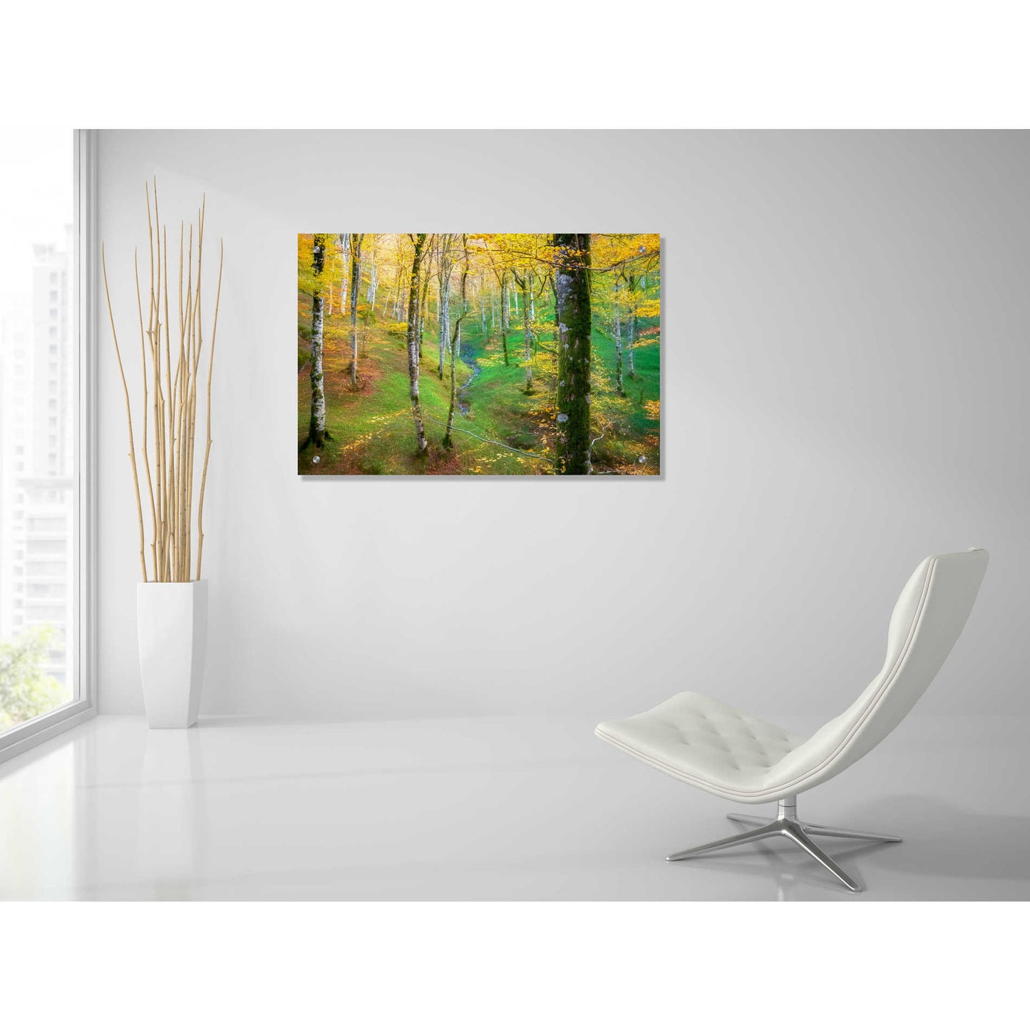 Epic Art 'Dream of Birches' by Lars Van de Goor, Acrylic Glass Wall Art,36x24