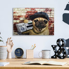 Epic Art 'Who Let The Dogs Out' by Lucia Heffernan, Acrylic Glass Wall Art,16x12