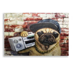 Epic Art 'Who Let The Dogs Out' by Lucia Heffernan, Acrylic Glass Wall Art