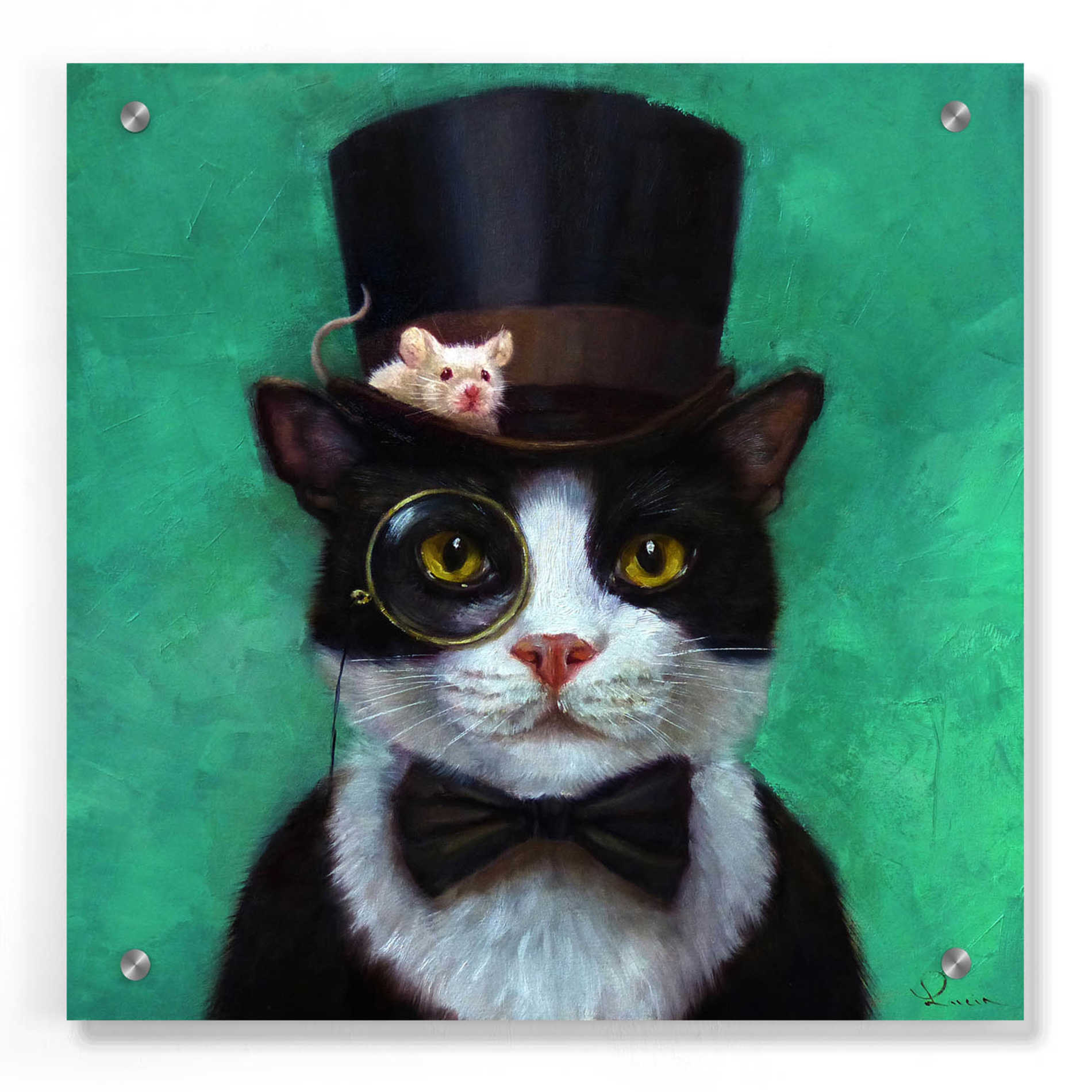 Epic Art 'Tuxedo Cat' by Lucia Heffernan, Acrylic Glass Wall Art,36x36